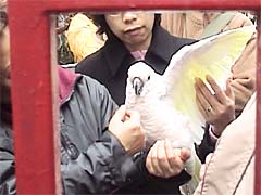 ���I���E