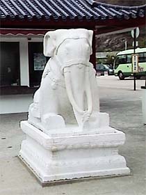 �C�m����