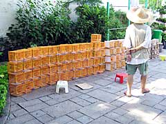 �����ԉ�