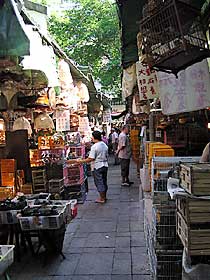 �����ԉ�