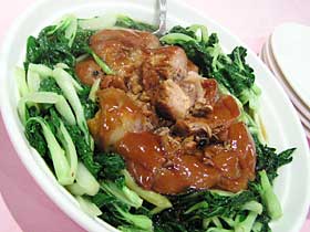 �g�������@�؃q�U���̏ݖ��ύ���