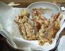 �e���v���Q